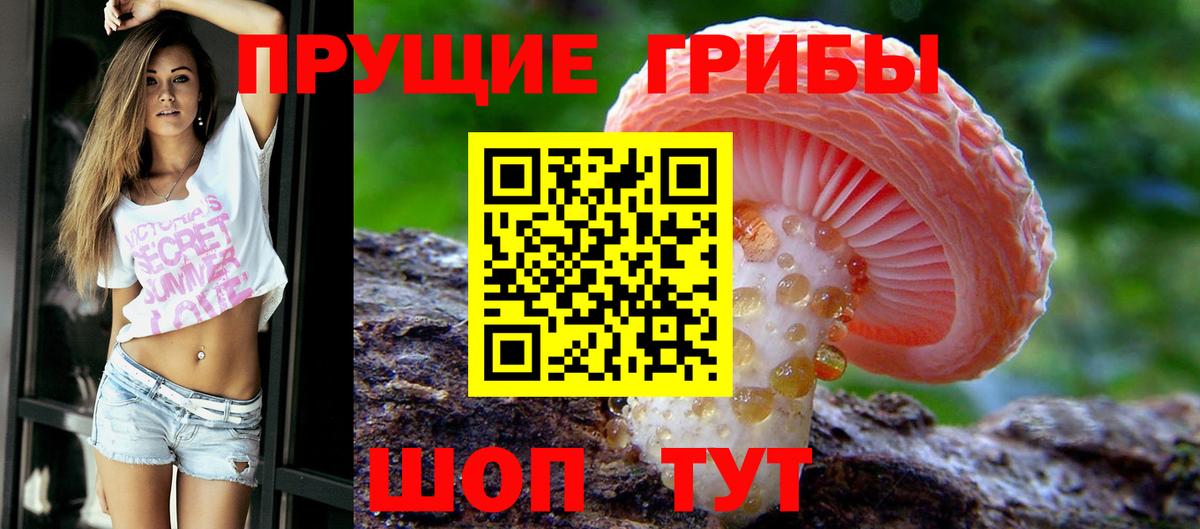 Галлюциногенные грибы Psilocybine cubensis Ялуторовск