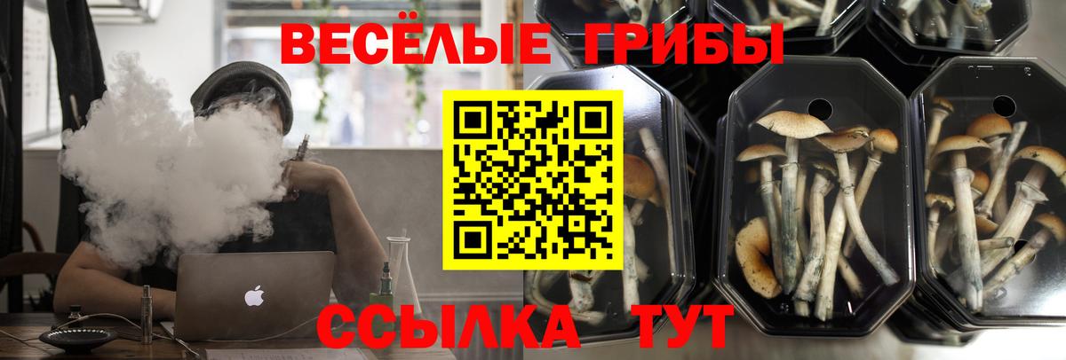 Псилоцибиновые грибы Magic Shrooms  Вход с VPN  Ялуторовск 